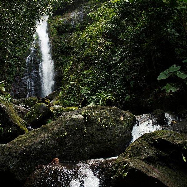 CASCADA