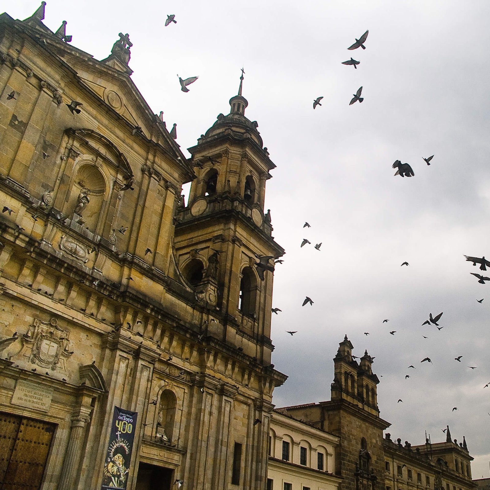 Catedral ED