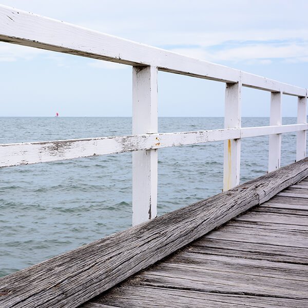 MUELLE ED