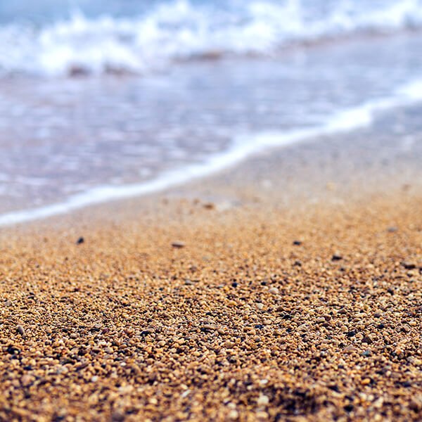 PLAYA ED